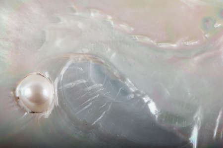 Birth of a Pearlの写真素材