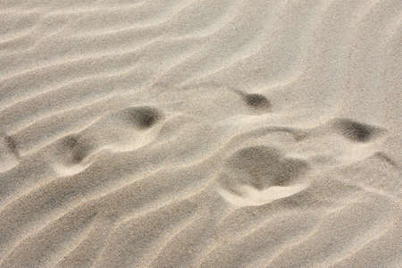Fine sand with imprints and drawings of the wind