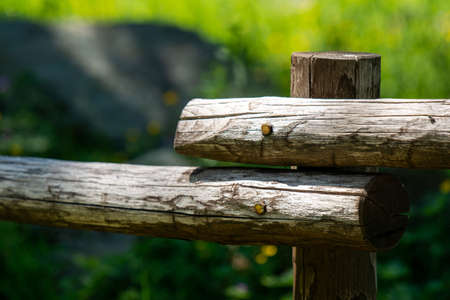 detail of a mountain fenceの写真素材