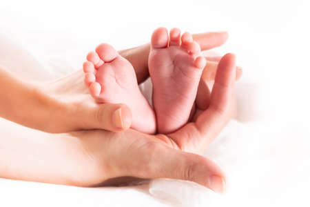 The beautiful feet of a newborn embraced by mother's handsの写真素材