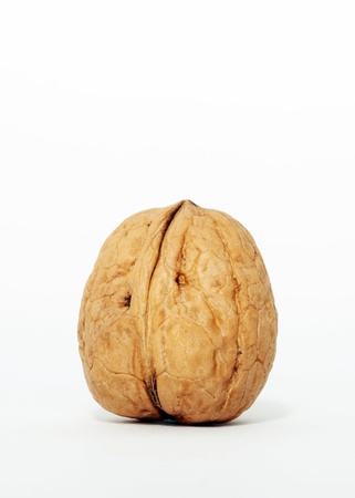 Walnut on whiteの写真素材