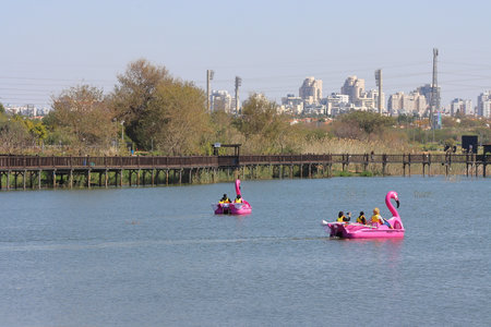 Tourists kayaking in the river.