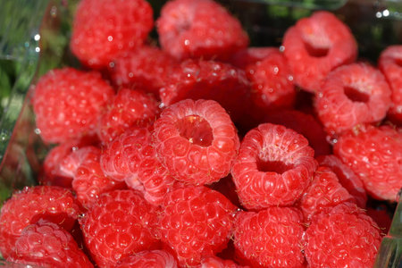Ripe raspberries in a plastic bag, close-up.