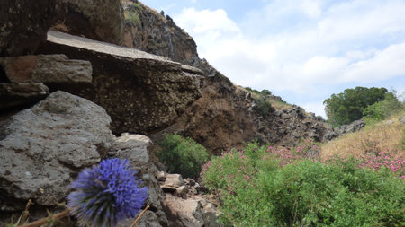 Rocks and flowers at the coast of the island of Crete