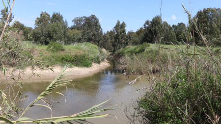 river in the ebro delta of the river Segura, Spainの写真素材