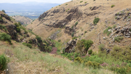 Landscape of the mountains of Galilee, Israel. Spring time.