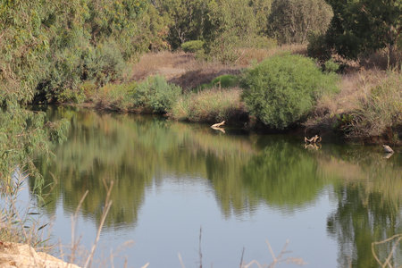 The river Ebro in the Spanish province of Zaragoza.の写真素材