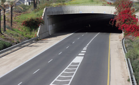 Tunnel in the middle of the road with red flowers.