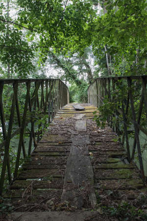 Abandoned walkway old wood forestの写真素材