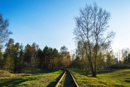 Rails extending into the distance of the forest with evening lightingの写真素材