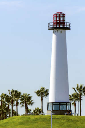 A lighhouse near the beach surrounded by palm trees の写真素材