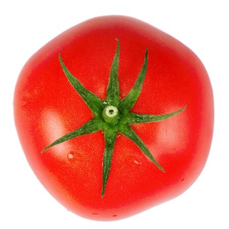 Red tomato . Isolated over white .の写真素材