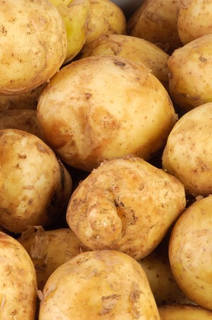 Young raw potato as  background .Close - up .の写真素材