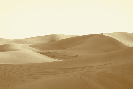landscape "dunes in the desert"の写真素材