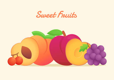 Sweet fruits set collection peach plum cherry grape fresh juicy vitamin nutrition fiber white isolated background with flat color styleのイラスト素材