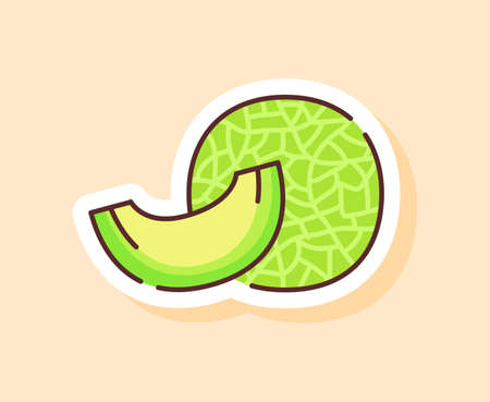 Melon sticker fruity healthy fresh food with color flat cartoon outline styleのイラスト素材