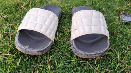 Rubber slippers on the grass, closeup of photo.の写真素材