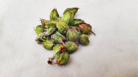 Herbal tea leaves with ladybug on a white background. Close up.
