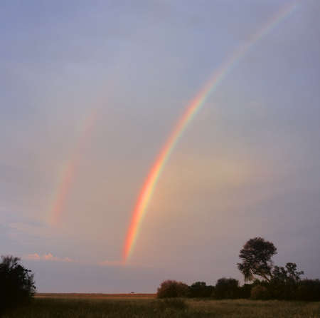 rainbowの写真素材