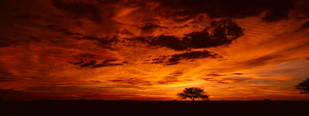sunsetの写真素材