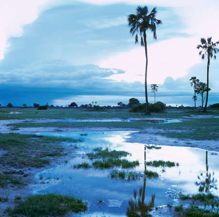 sunriseの写真素材