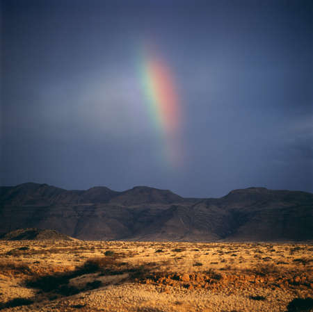 rainbowの写真素材