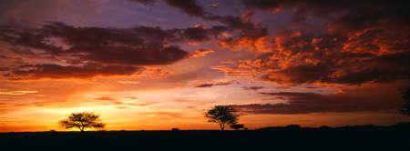 sunsetの写真素材