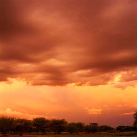 sunsetの写真素材