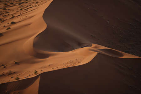 desert