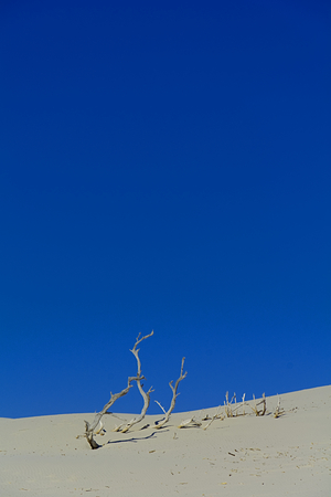 deep blueの写真素材