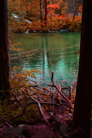 walk near the lakeの写真素材