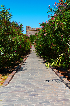 Alleway in Sardiniaの写真素材