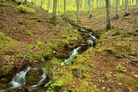 The creek in tuscany mountainsの写真素材