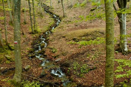 The creek in tuscany mountainsの写真素材