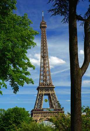 Eiffel tower view through the treesの写真素材