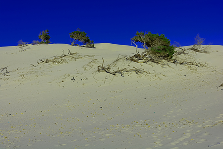 Sandの写真素材
