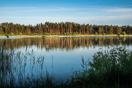 Lake in north Europeの写真素材