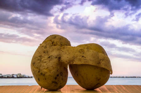Pair of mature potatoes embracing each other at sunsetの写真素材