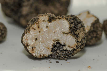 Black truffle detail in the foreground