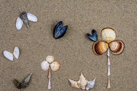 Background with seashells forming a creative designの写真素材