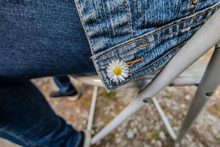 Daisy inserted in the buttonhole of the jeansの写真素材