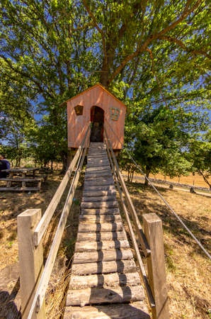 Beautiful treehouse in the gardenの写真素材