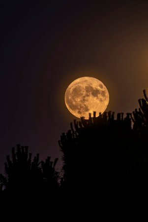 View of the rising of the moon at the perigeeの写真素材