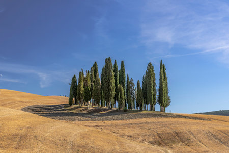 Tuscan landscape with road and cypressesの写真素材