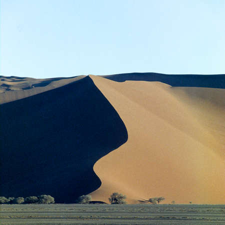Panoramic view of red sand dunes in famous Namib Desert in Namibiaの写真素材