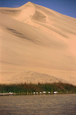 dunes, lagoon and flamingos at sandwich harbourの写真素材