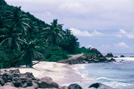tropical beach with palm trees in Anse Gaulettes, La Digue island, Seichelles