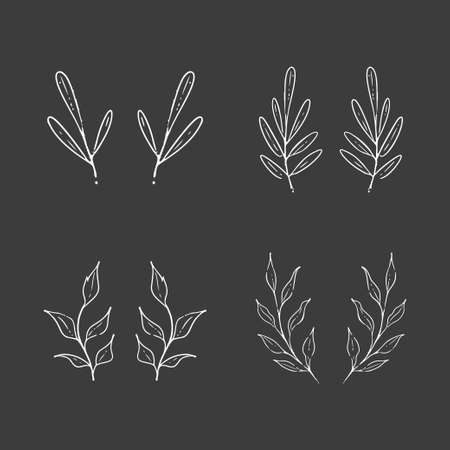 Decorative hand drawn branch with leaves, vector linear illustration setのイラスト素材