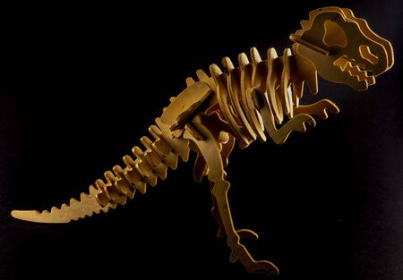 dinosaur skeleton wooden modelの写真素材
