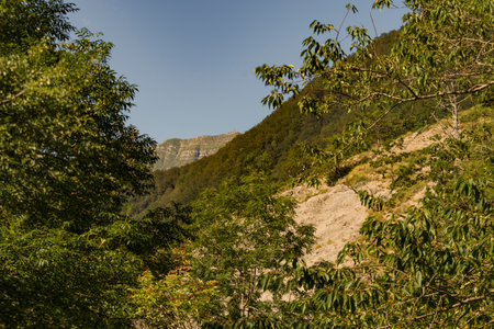 Mountain landscape with green trees and blue sky, natural background.